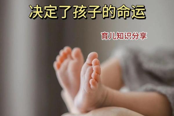 2024年出生孩子的命运解析:运势、性格与未来发展 2024年出生孩子的命运解析:运势、性格与未来发展