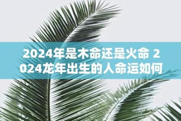 火命女子与适合命理的完美邂逅：谁能伴她同行？