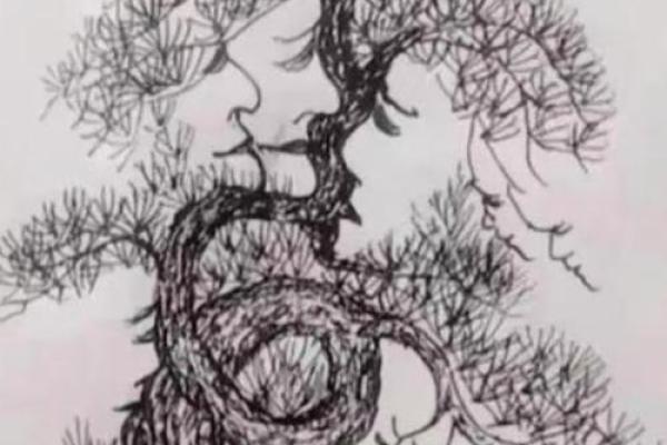 松树的秘密:探秘松树的命属等级与生态价值 松树的秘密:探秘松树的命属等级与生态价值
