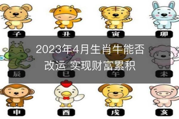 1993年出生的人，他们的牛年命运如何？