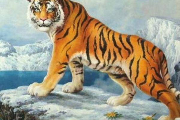 探索1962年生人的命运与机遇：生肖虎的独特魅力