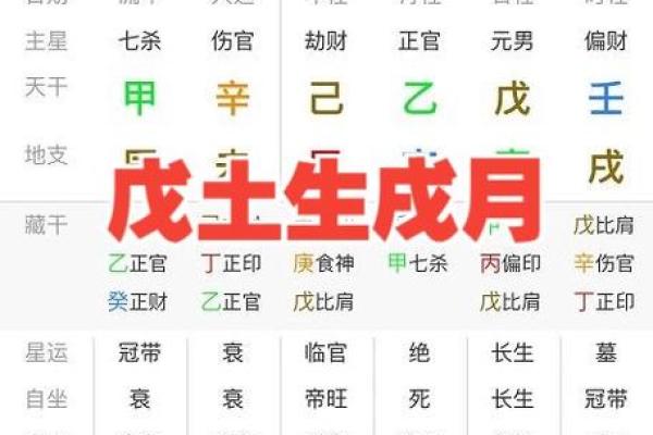 探寻戌土男命：命格分析与人生启示