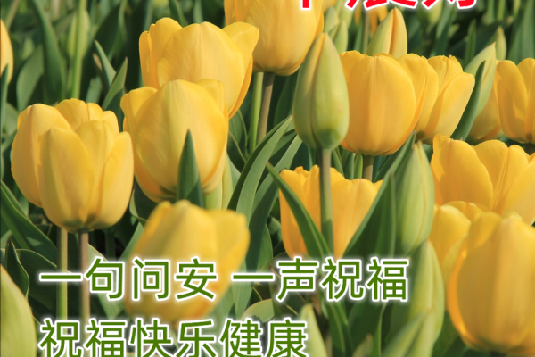 解密19970309：命运与人生的奇妙旅程