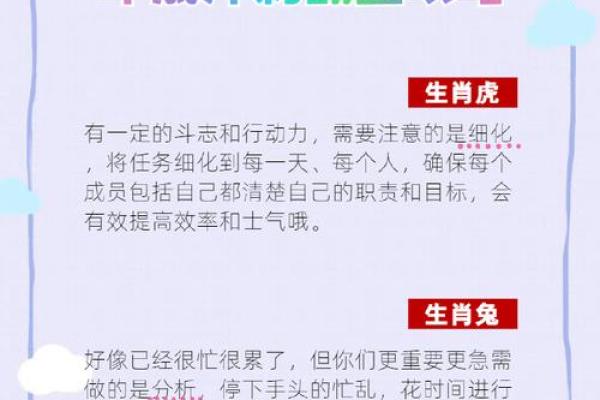 2018年龙年命运解析：如何掌握自己的机会与挑战