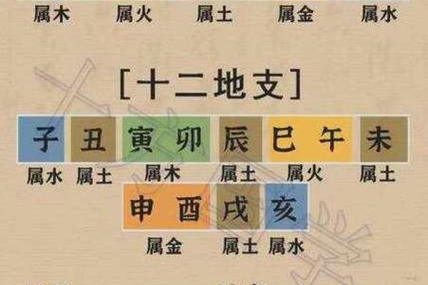 生肖与命格：揭秘十二生肖背后的命理奥秘