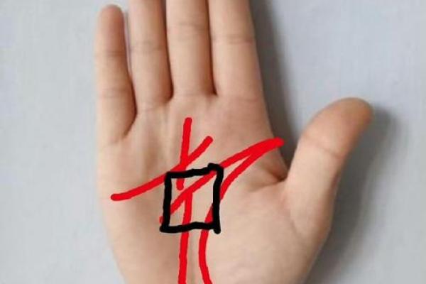 手心线条杂乱的秘密：探索命运背后的深意