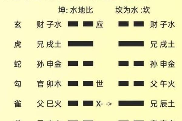 女命桃花入命的深意与影响解析