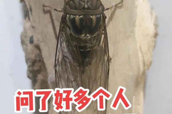 你知道吗？这些动物的寿命竟然如此惊人！