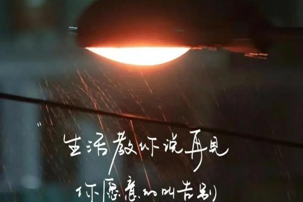 身长腿短男生的命运与生活智慧探讨