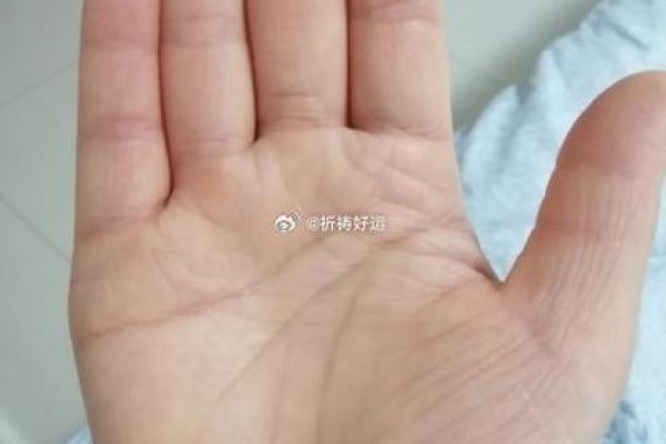 探索19881221命运的奥秘：揭秘你的生命密码