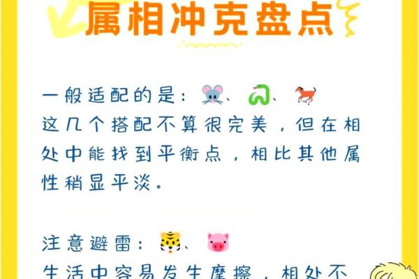 2026年属相解析：揭开属相兔的命理奥秘与生活指南
