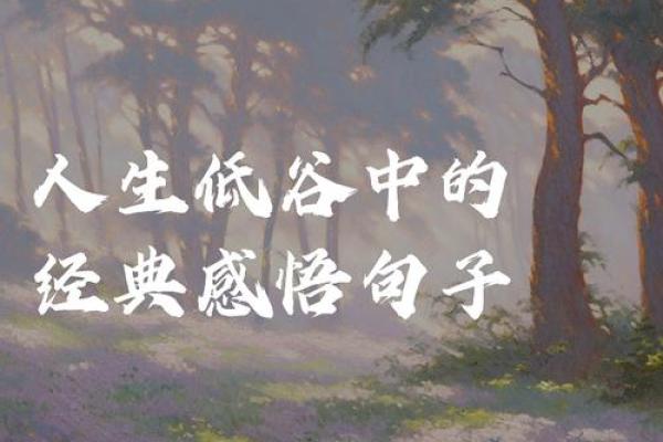 解密19870811：如何将这一独特的生日转化为人生的契机