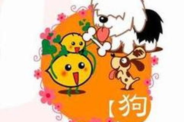 9982年属狗人的命运解析与人生建议