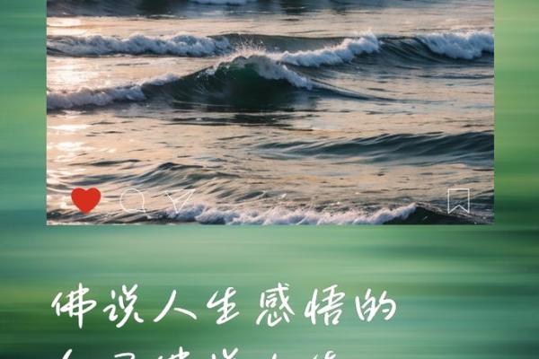 解密19870811：如何将这一独特的生日转化为人生的契机