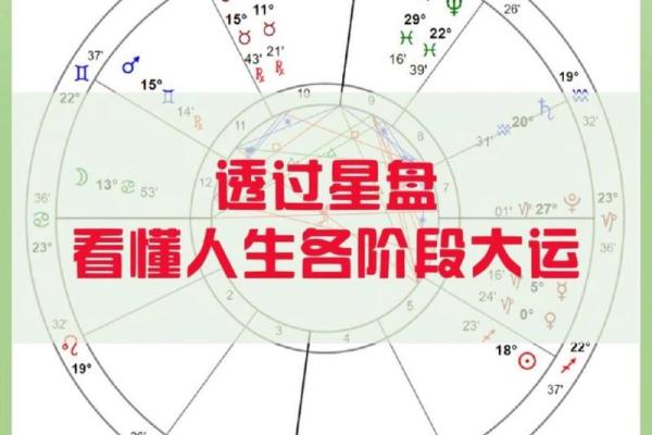 蛇年命理解析：适合的命格与人生方向探讨