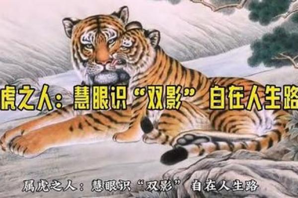 1926年属虎，命理解析与人生启示