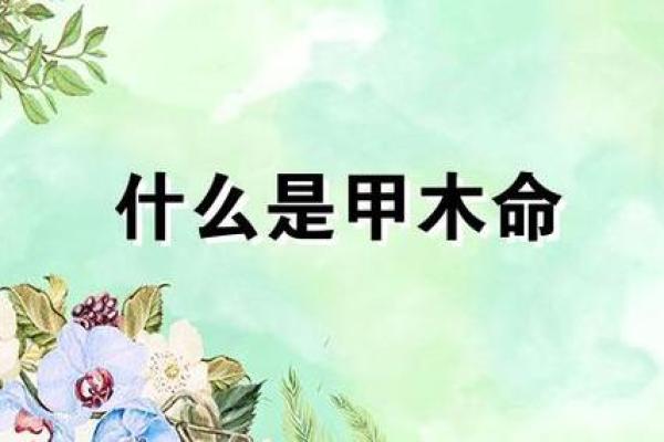 木命人与哪些命相合，财运亨通的秘密探究