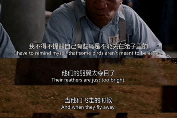 爱清扫的男人：生活中的追求与自我救赎