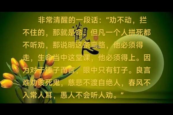 溢出而命:寓意深刻的成语背后的故事与人生哲学 溢出而命:寓意深刻的成语背后的故事与人生哲学