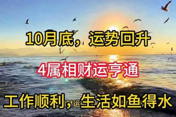 男命带福星，助力人生逆袭，财运亨通的命理解析！