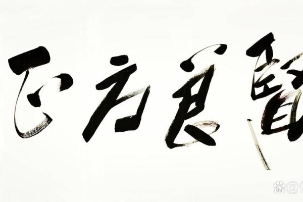 探索《兑命》的奥秘：解密生命与能量流动的智慧