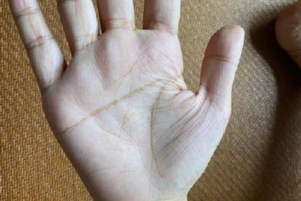 探秘数字命运：解读2006516的内在玄机