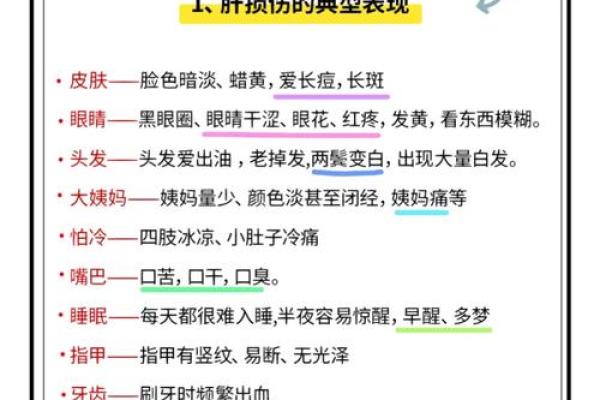 以命养命:探讨生命中的坚持与牺牲 以命养命:探讨生命中的坚持与牺牲