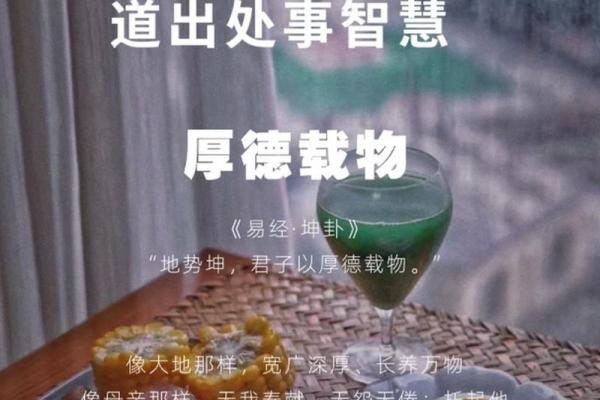 根据什么会什么命的成语和人生智慧探讨 根据什么会什么命的成语和人生智慧探讨