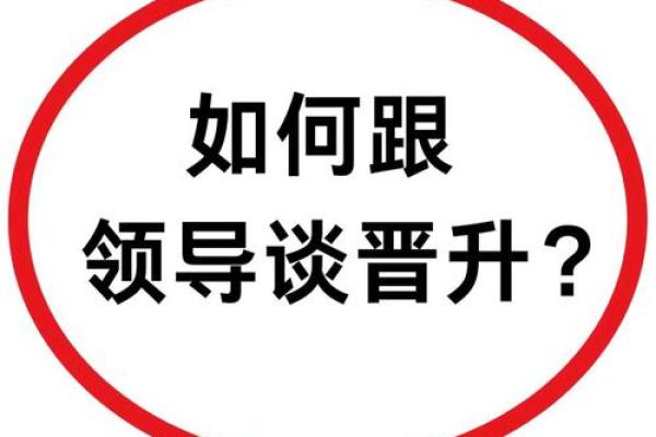 甲木命人的职场选择：如何找到最适合的职业发展之路