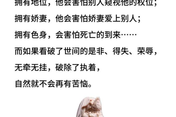 生命数字主命339的独特能量与人生之道探秘