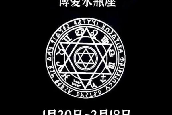 水瓶座的秘密：命运之轮与内心的独白
