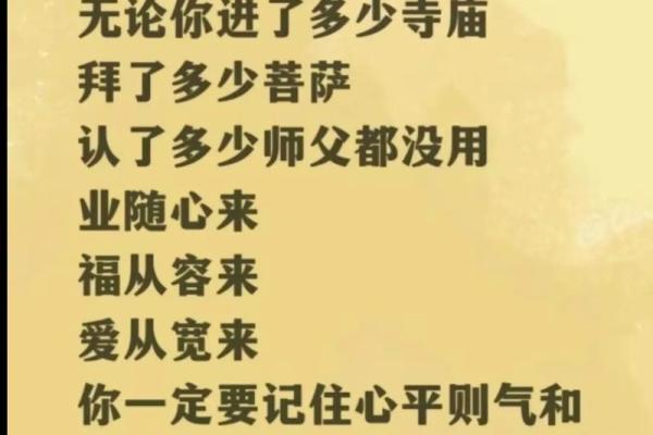 巧用成语，点亮人生的小智慧