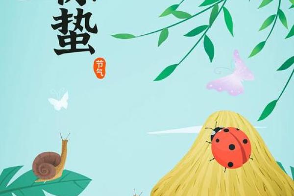 探秘农历1981年出生的人:命运与性格的奇妙结合 探秘农历1981年出生的人:命运与性格的奇妙结合