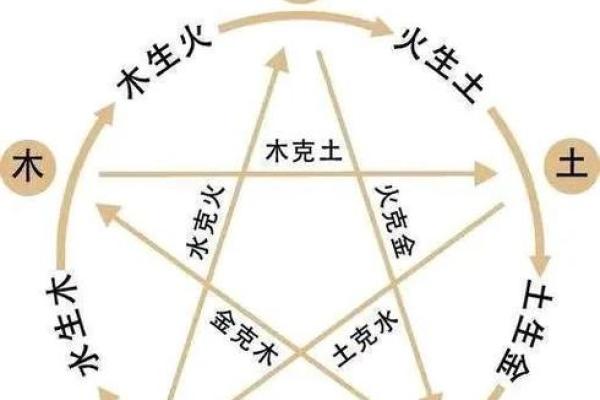 如何通过属相和命理了解个人命运的秘密