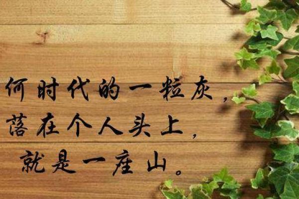 19960821出生者的命运解析与人生启示