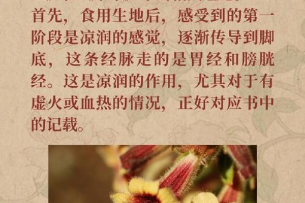 生什么命富什么:探讨命运与财富的奇妙联系 生什么命富什么:探讨命运与财富的奇妙联系
