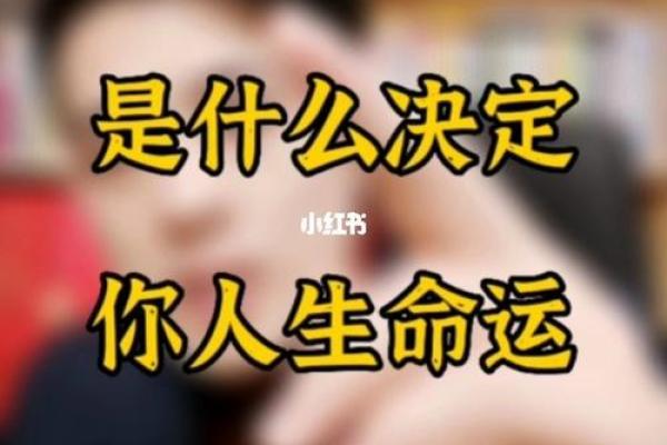 探寻19820310的命理密码:命运的启示与人生的指引 探寻19820310的命理密码:命运的启示与人生的指引