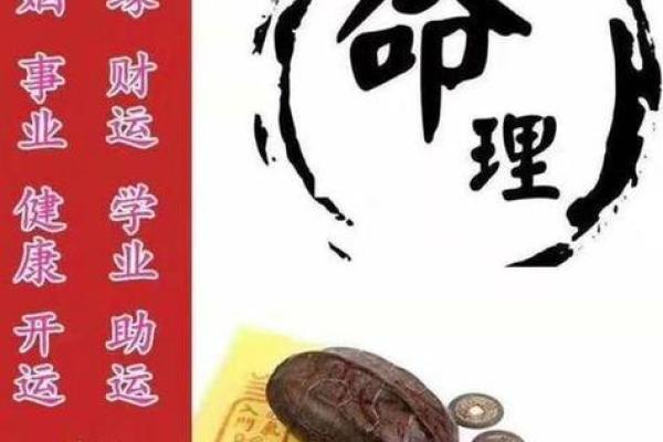 2021年出生孩子的命运解析:以八字看未来成功之路 2021年出生孩子的命运解析:以八字看未来成功之路