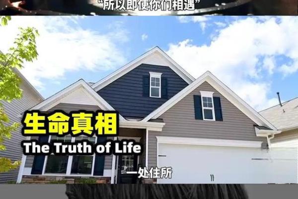 生命的命与用：探寻生命的真实意义与价值