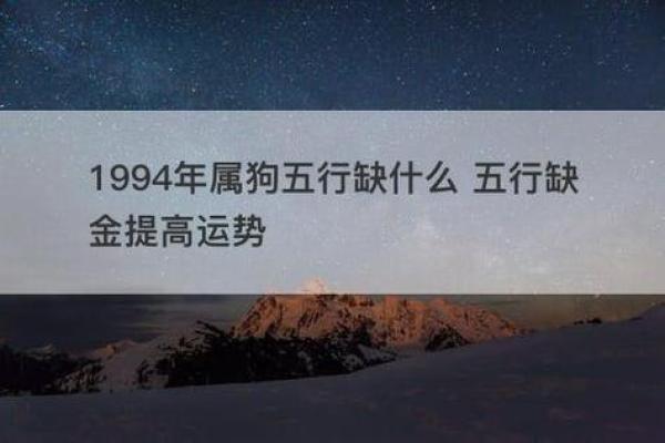 1982年属狗人的命运解析：从性格到运势的全面解读