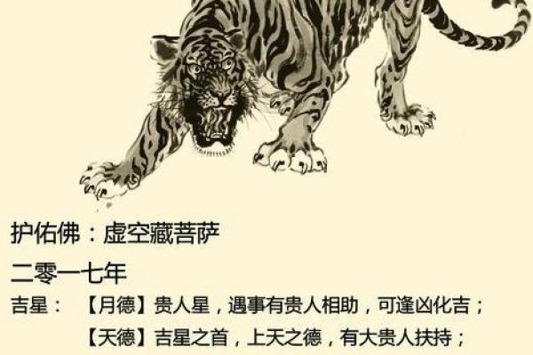 生肖虎2022年的命运走向与运势分析