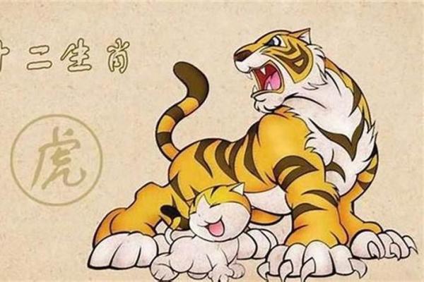 生肖虎2022年的命运走向与运势分析 生肖虎2022年的命运走向与运势分析