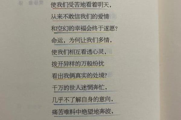 命运的转折:妻子早逝后的生活与重生之路 命运的转折:妻子早逝后的生活与重生之路