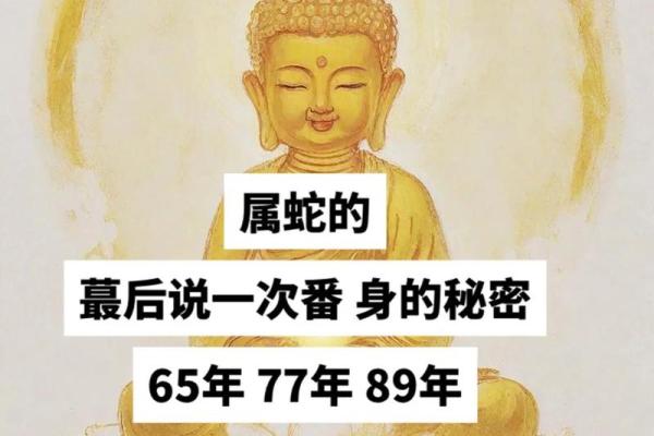 65年出生的生肖属蛇，命运与性格解析