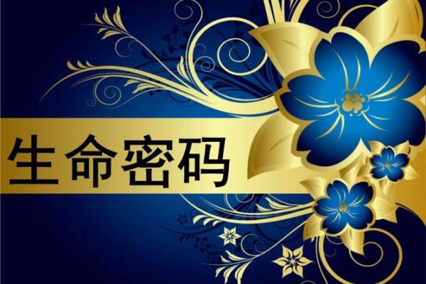 93.94命运揭秘：如何解读数字带来的生活启示和人生方向
