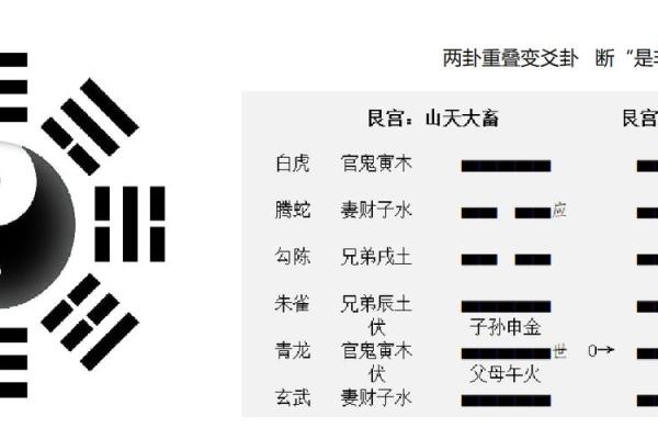 深入探讨算命中男命与女命的奥秘与魅力