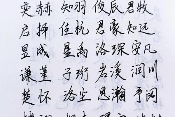 金命公司起名技巧：让企业名称更具吸引力与活力