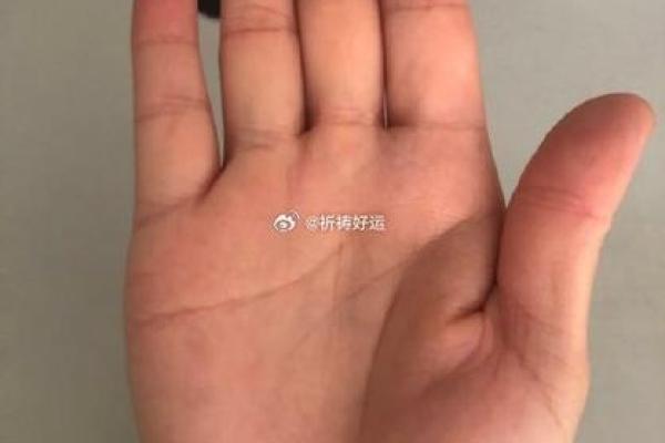 探寻19914.29命运密码：揭秘此命的深层寓意与人生轨迹