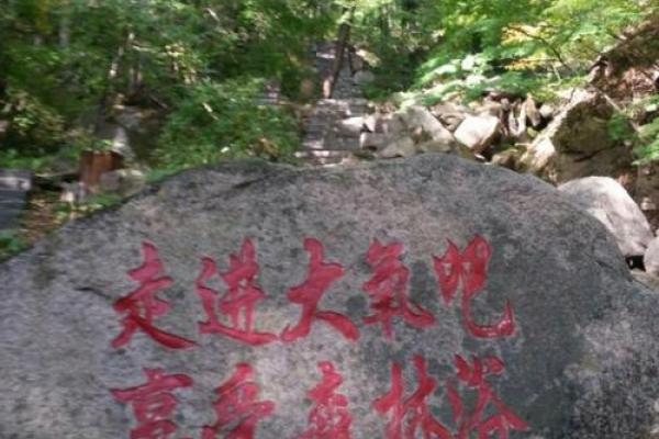 命石者：命石之源的神秘与魅力