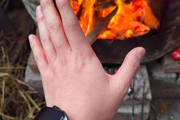 深入探索19880618出生的命理特征与人生展望